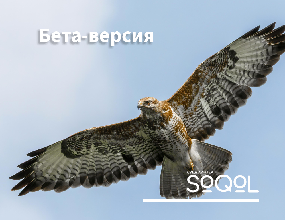 Состоялся релиз бета-версии СУБД ЛИНТЕР SoQoL